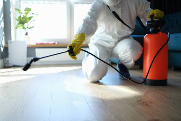 Reliable Infectious Disease Decontamination contractor in Plain City, UT by Trauma Clean Pros